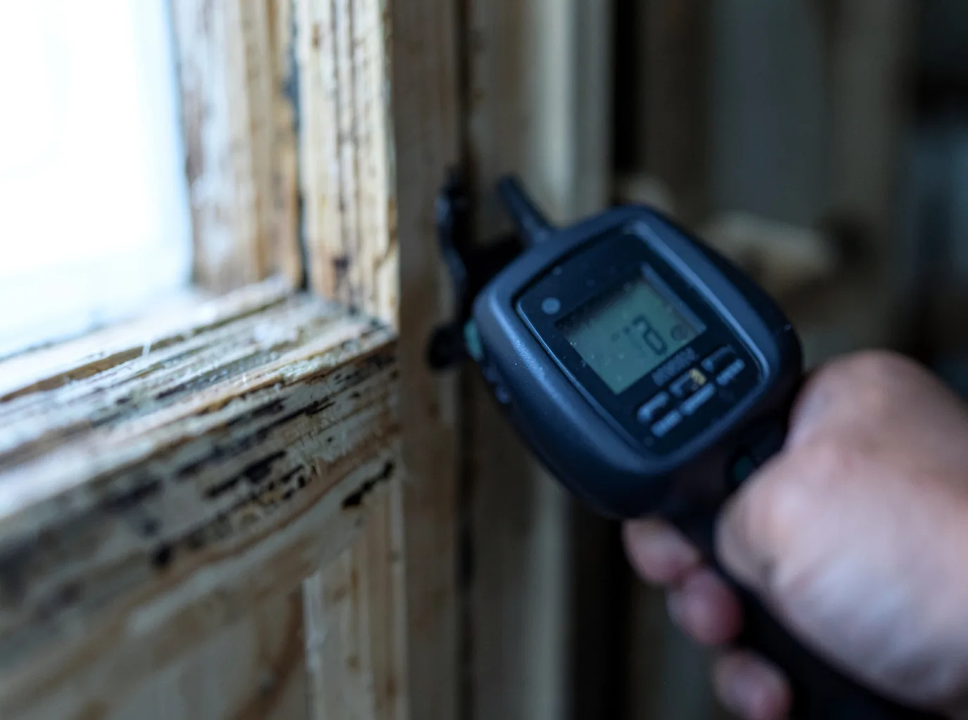 Moisture Inspection And Documentation in Lucile, ID